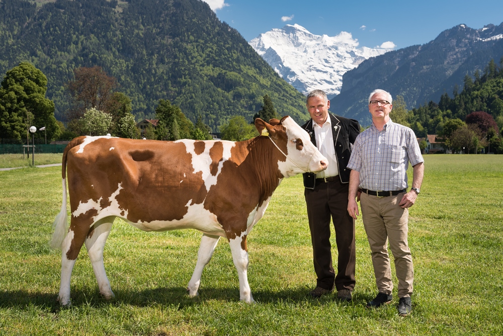 46.1 5. Lebendpreis Lamberta