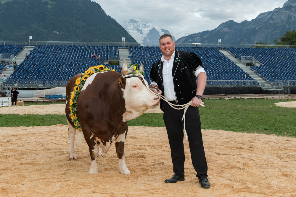 sonntag stuckigottlieb